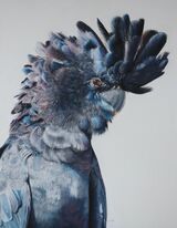 'The Colours of Black' Pastel on Paper