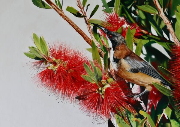 Put It On My Bill Pastel on Paper.