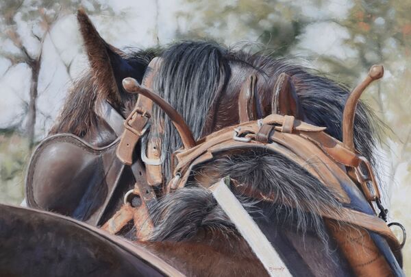 'Harness the Energy' Pastel on Paper
