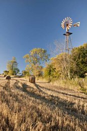 Bales and wind pump028