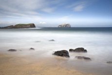 Bass rock0042