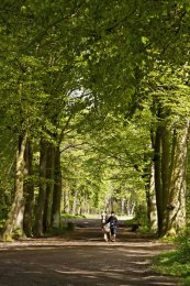 Boy and his horse0031