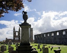 Cathedral silhouette0011