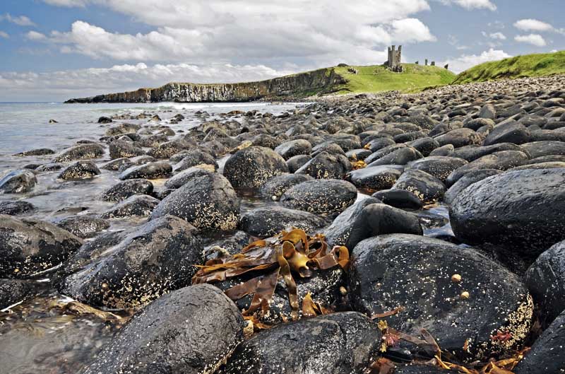 Dunstanburgh castle0005