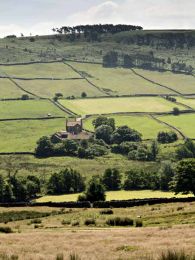 Little Fryup dale012