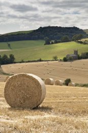 Luthrie harvest evening0071