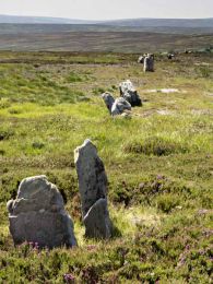 Bronze age stones007