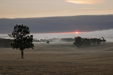 Misty Tayport morning 0008