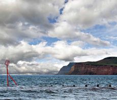 Groyne and cliffs005