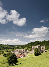 Rievaulx abbey007