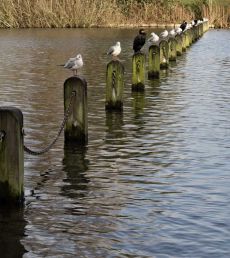 Room for one more0028