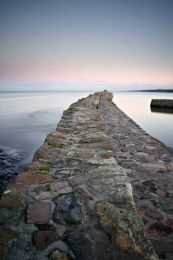 St Andrews harbour evening026