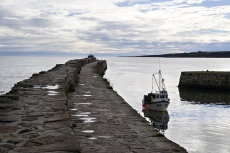 St Andrews harbour evening 0025