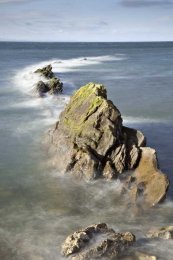 St Monans rocks0011