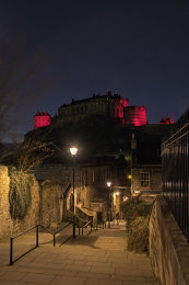 The Vennel night 500070