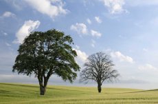 The quick and the dead0021