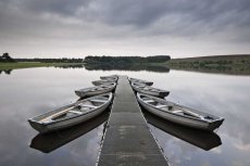 Tied up for the night0002