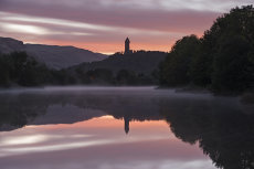 Wallace monument misty morning500014