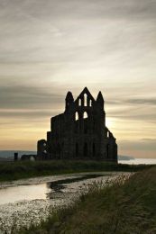 Whitby abbey035