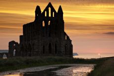 Whitby abbey075