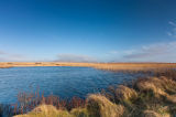 Across Loch Dubh