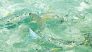 Inner Reef Fish