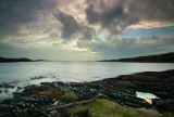 Driftwood on West Tarbert Bay
