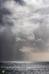 Winter Rays II