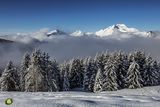 Alpine Vistas