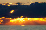 Amber Horizon