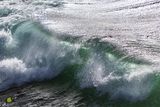 Aqua Wave Crest