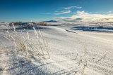Arctic Vista II