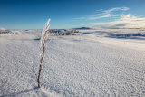 Arctic Vista