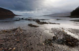 Ardtornish Bay I