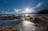 Ardtornish Bay textures I
