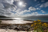 Ardtornish Point & the Sound of Mull