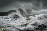 Atlantic Greys - Master
