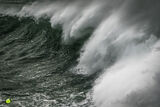Atlantic Grey V
