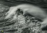 Atlantic Green - CIIC
