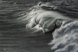 Atlantic Green - CI