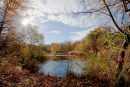 Autumn Lake