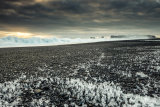 Black Beach Vista V