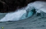 Blue Wave II - Rev