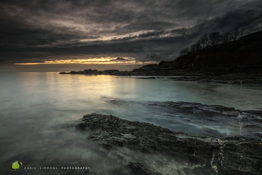Bream Cove Reflections
