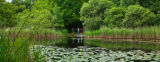 'Wandering' by a lake. Client: Joan Allen Electronics