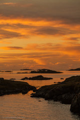 Cartoonish Bay Portrait Vista