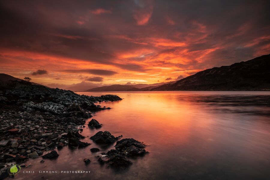 Carna Dawning Glory