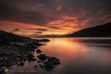 Carna Dawning Glory - C