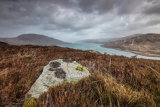 Carna Overview