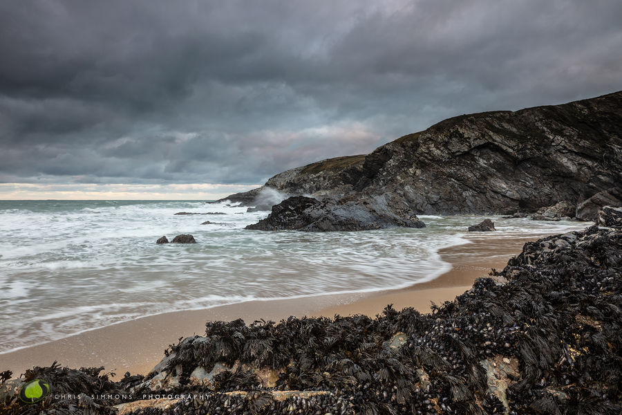 Chilled Dusk - Polly Joke II